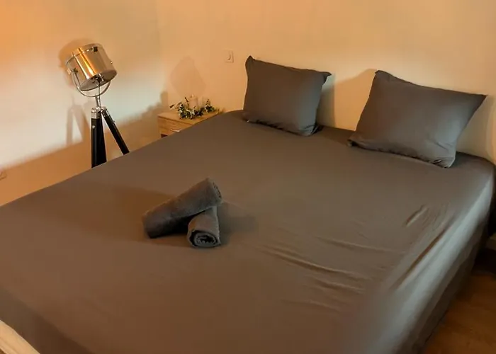 T2 Confort, A Deux Pas Du Centre Lisle-sur-Tarn